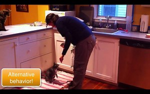 INTERMITTENT REINFORCEMENT MADE ME DO IT (and do it, and do it, and…) A learner shows persistence when s/he keeps doing something even though it is only occasionally, even rarely, reinforced. How do we get persistent behavior? By withholding reinforcers some of the time, i.e., thinning the frequency of reinforcement to a gambler’s schedule. Mark my words: Behind nearly every “misbehavior” is a lean intermittent schedule of reinforcement. To remediate persistent misbehavior, decide what the learn
