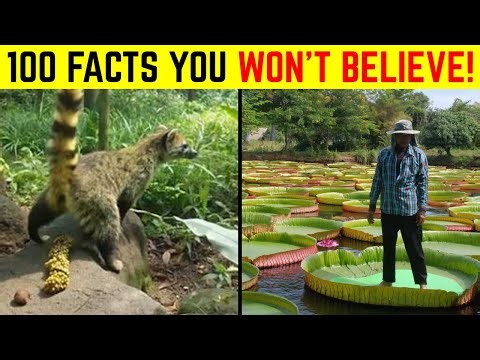 100 Most Insane Facts You’ve NEVER Heard Before!