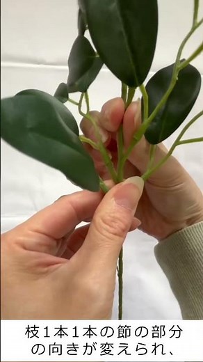 神棚を清らかに彩る【枯れない榊】色褪せない 榊 造花 #神棚用 #神具 #神事 #お水換え不要 #玄関 #リアル造花 #アレンジ #祭壇 #お供え #plants