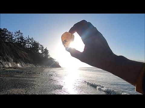 Finding Beach Agates on Whidbey Island Washington