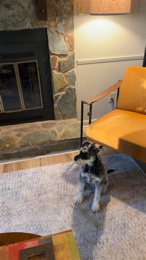 First tree in 6 years🎄✨ Grateful to have some of our kids here to decorate the tree (we forgot which ornaments we had), share recipes (Steph makes the best cranberry sauce, ever), and help us eat all the food we’re cooking. 🍗 We finished Thanksgiving, put the tree up, and will do Christmas dinner later this week. When you have limited time with loved ones, you make the holidays fit your schedule. 🥰 Grant got my commonplace book started with a lovely quote in his English running hand. Somethin