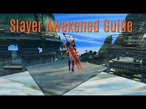 Tera Awakened | Slayer Personal PvE Guide