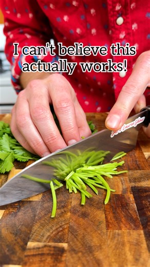 How to store cilantro to make it last longer! 🌿 #Cilantro #kitchenhack #mealprep #cooking | Jeff & Lauren