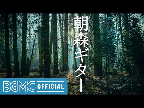 朝森ギター: Healing Forest Music - Beautiful Guitar Music for Relax, Rest, Unwind, Sleep