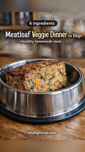 Meatloaf Veggie Dinner for Dogs Ingredients • 1 lb lean ground turkey (cooked until no longer pink) • 1/2 cup finely chopped carrots (steamed until soft) • 1/2 cup finely chopped spinach (lightly steamed) • 1/2 cup rolled oats (soaked in warm water for 10 minutes) • 1 egg (lightly beaten) • 1/4 cup unsweetened applesauce Instructions 1. Preheat oven to 350°F (175°C). 2. Cook the ground turkey until no longer pink. Let it cool slightly. 3. Soak oats 10 minutes. Steam carrots until soft. Lightly s