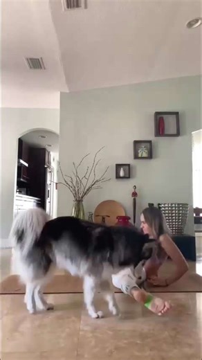 How to yoga middle splits practice and stretches with elastic band #shorts