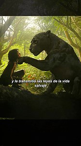 El libro de la selva | emprender