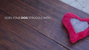 DOES YOUR DOG HAVE SEPARATION ANXIETY? (You are going to want to check this out...) Does your pup hate being left alone? Does he or she get nervous and sad when you leave for the day? Do you end up feeling guilty? Now you can reduce your dog’s anxiety in an extremely cute, very simple way. The Project Play™ Comfort Cuddler™ helps relax your pet during a stressful situation, like car rides, taking your pup to the dog sitter, crate training, or whenever he or she experiences separation anxiety. Ho