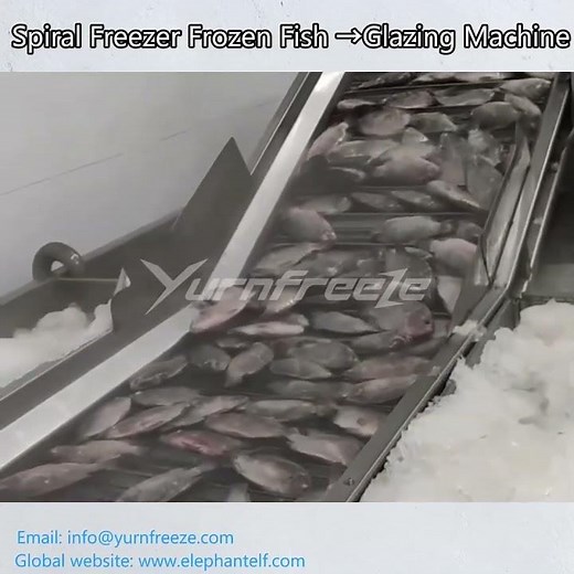 Spiral Freezer Frozen Fish —— Glazing Machine
