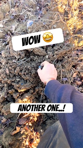 Metal Detecting Blows My Mind!! The Manticore is a Coin MONSTER