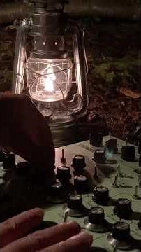 LYRA-8 & NightSky: Ambient Improv Blended with Forest Atmosphere #shorts