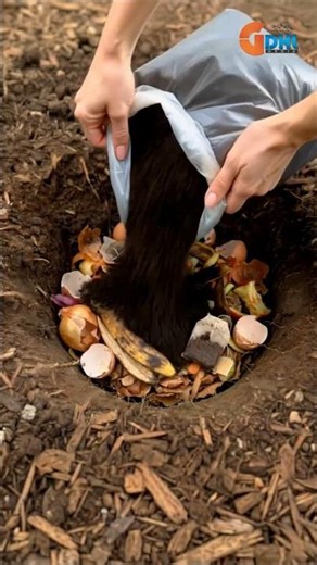 How to Turn Kitchen Waste into Powerful Fertilizer for Huge Cucumbers 🌱🥒 #shorts