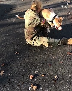 9.9K views · 386 reactions | Dog has adorable delayed reaction | Dog Kindness | Facebook