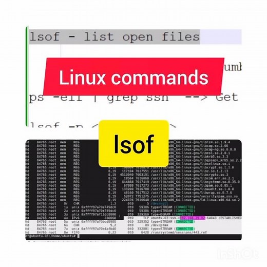 Linux command for beginners | Linux debug cmds | lsof Linux command| Linux command #shorts