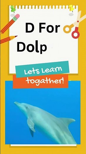 "D is for Delight! | Fun Letter D Song for Kids | ABC Phonics & Learning" 🎶✨