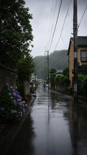 【Relaxing Nature Sounds】Rain Sounds in Japan. Only for Reading & Working｜ #RelaxingNatureSounds