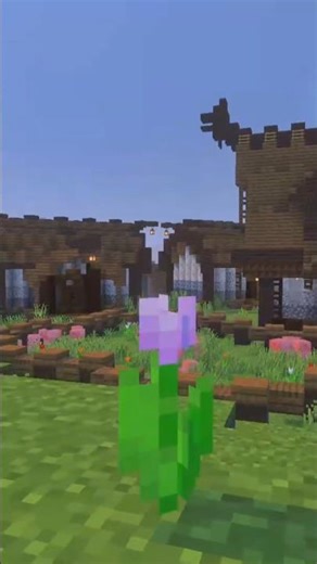 Midevial village? #minecraft #village #building #fyp #residentevil