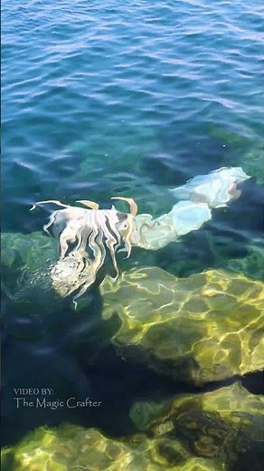 The long mermaid swims close to shore