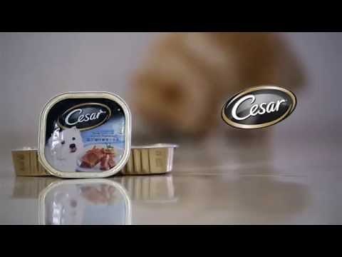 Cesar Dog Food Commercial