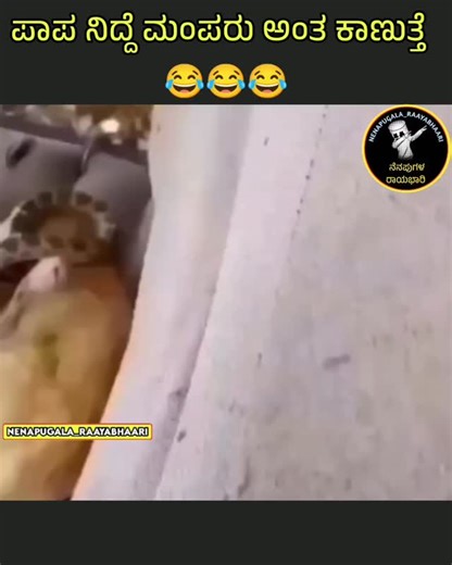 ನೆನಪುಗಳ ರಾಯಭಾರಿ | 😂😂😂 Follow:@nenapugala_raayabhaari #kannada #Karnataka #kannadamaate #naadu #nudi hesru_hakalla_en_iga SM_INTROSPECTION... | Instagram