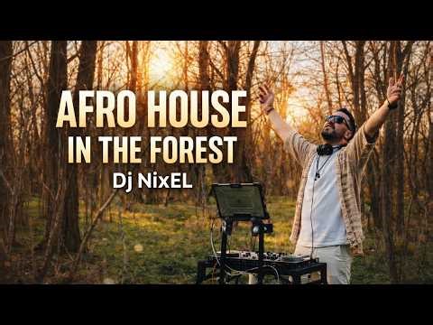AFRO HOUSE IN THE FOREST 🌿 | Magical Nature LIVE DJ Set by NixEL
