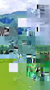 Southern Carmine bee-eater, A species of Bee-eaters, Scientific Name Merops Nubicoides, #fbviralvideo #birdsphotographers_of_india #birdsphotographer | World's Amazing pictures