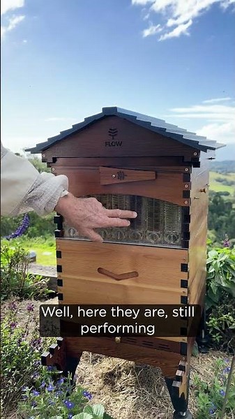 "How long do the Flow Frames last?" #quickcuts #beekeeping #flowhive