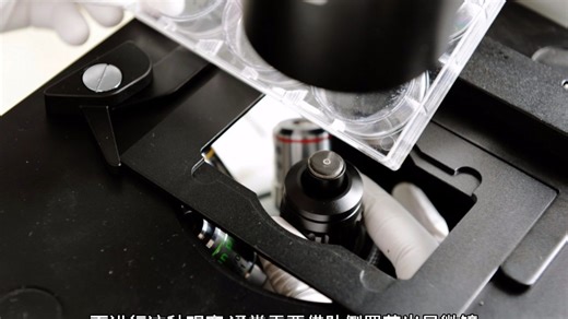 明美倒置荧光显微镜MF52-N一活细胞爬片观察的理想之选