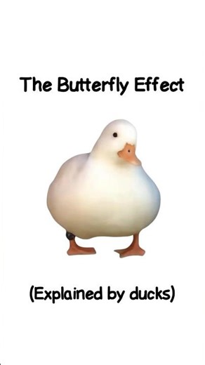 Butterfly Effect (Explained By Ducks) | Funny Duck Short