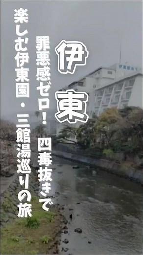 初めての伊東園グループ、「伊東園ホテル本館」に宿泊してきました！（2026年3月末の旅行記です）​今回は、普段から実践している「四毒抜きを旅先でも徹底！さらにホテルの無料サービスや伊東の魅力を紹介！