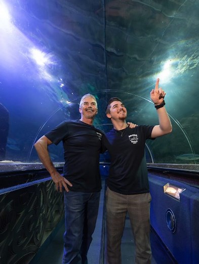 2.1K views · 42 reactions | This year, SEA LIFE Kelly Tarlton's has...