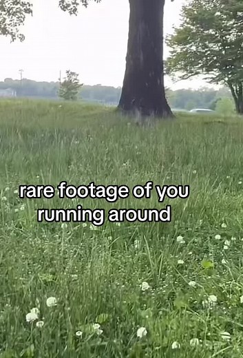Rare Footage of You Running Around | Monkey Videos