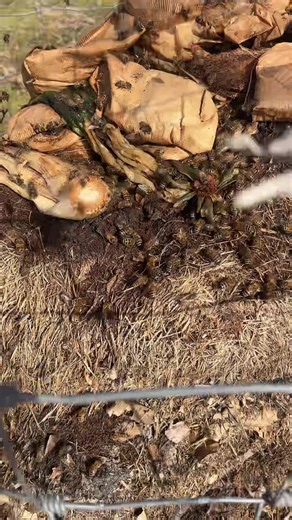 I’mnotanumber (@imnotanumber)’s videos with original sound - I’mnotanumber