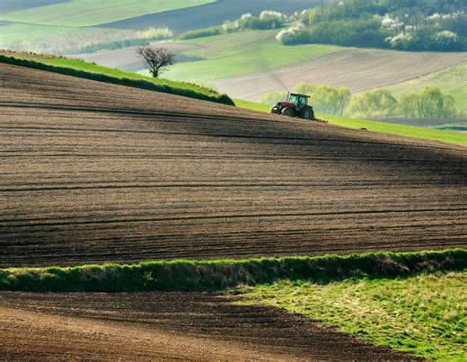 Biobauern sind Verlierer des Bioboom: 3 Gründe warum Landwirte nicht auf Bio umstellen