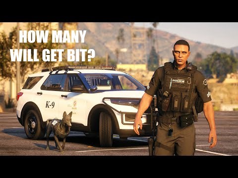 LSPDFR is the best mod for GTA 5
