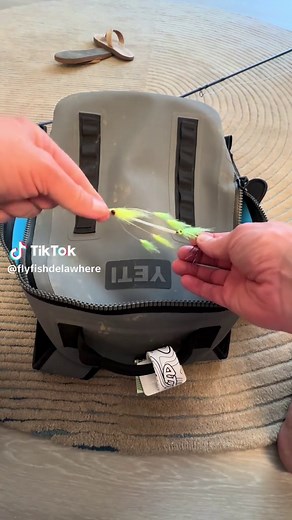 Exciting Saltwater Fly Fishing Concept