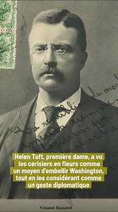 L'histoire derrière les emblématiques cerisiers en fleurs de Washington DC