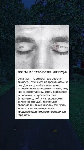 ФАКТЫ ч6. #facts #survival #motivation #tatoo #интересныефакты