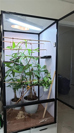 Pascal es un poco malcriado