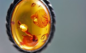 Epoxidharz Ideen & Anleitungen: über 20 Möglichkeiten vorgestellt