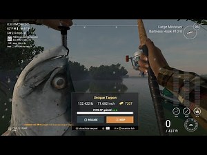 Unique Tarpon Hotspot Guide At Blue Crab Island In Mississippi Fishing Planet