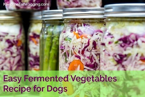 Easy Fermented Vegetables Recipe for Dogs