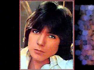 Hurt so Bad - David Cassidy