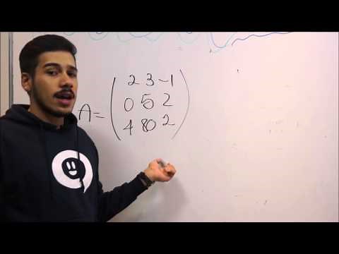 Matriz Cuadrada y Diagonal Principal | Teoría y Ejercicios Resueltos