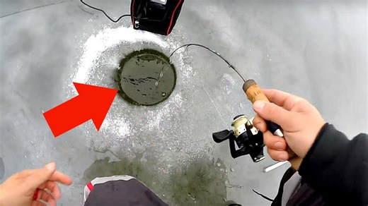Insane Micro Fishing Where Every Fish Attacks Everything