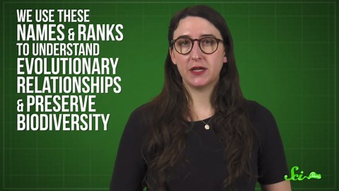 What is Taxonomy and Why is it So Complicated?