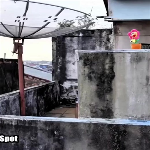 Prime ACI Review: A Dive into GameSpot's Future