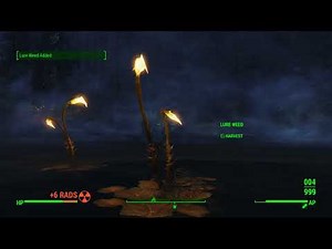 Fallout 4 - Hunting Anglers in Far Harbor