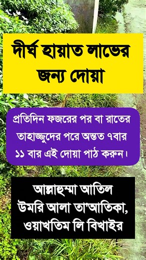 125K views · 1.1K reactions | The history of #Photography began with...