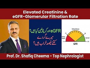 Elevated Creatinine & eGFR | What is Your Stage of CKD?